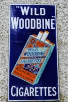 woodbine